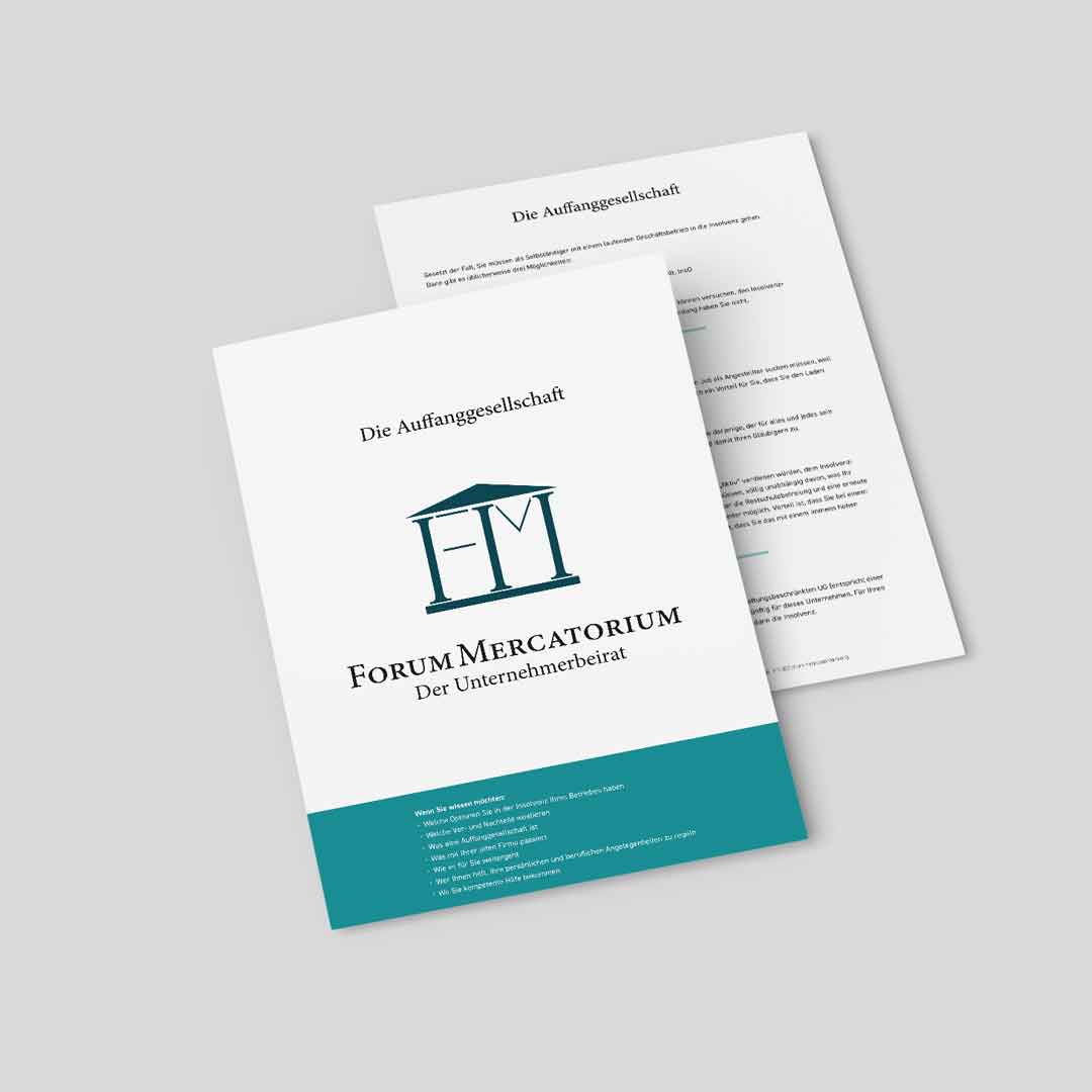 PDF-Download zum Thema Auffanggesellschaft